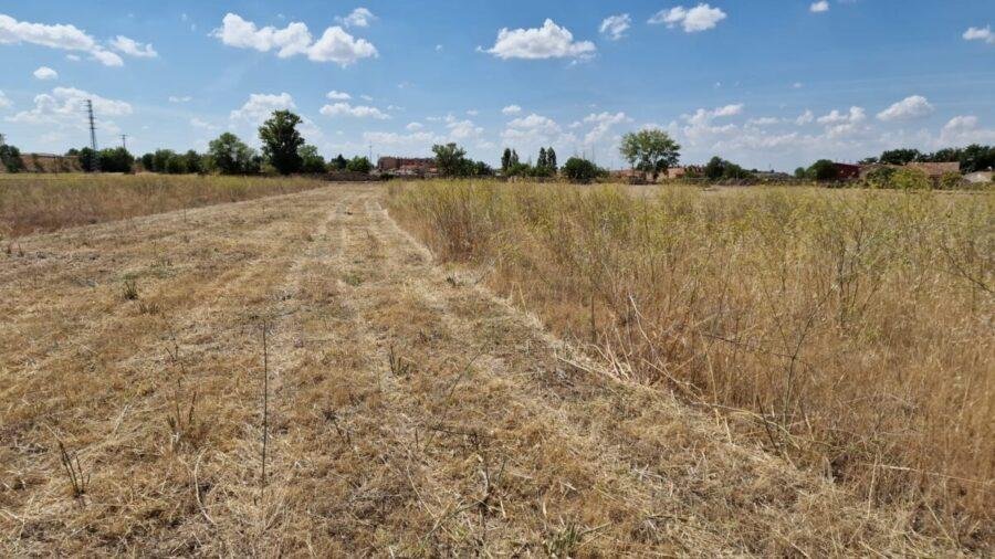 Limpieza de solar urbano tras la actuación en Arganda del Rey